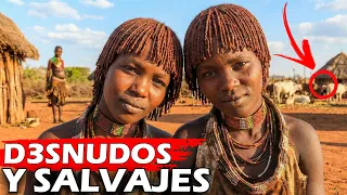 The Hamar tribe the most beautiful women in Africa and the men run over cows