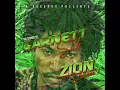 Zion in a Vision