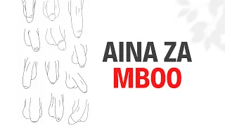 AINA ZA MBOO  AINA ZA MBOO
