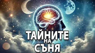 10 Факта за Съня За Които Не Подозирате 