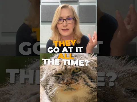 Angela Kinsey played a cat-loving accountant, making her the perfect expert to tell us about #grumps