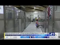 Illegal animal dumping leads to overcrowding at Hattiesburg shelter