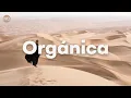 Lagu unique playlists - Orgánica DJ SET (mix by Ben \u0026 Vincent) - [Organic House - Ethnic House]