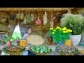 Download Lagu Harvest Asters, Bananas, Eggplants, Shiitake Mushrooms, And Thai Eggplants To Sell At The Market. MP3