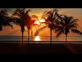John Gibbons - Hotstepper  l  Alphatec Music