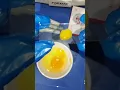 eggs under microscope