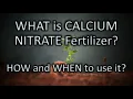 WHAT is CALCIUM NITRATE Fertilizer HOW WHEN to use Increase PLANT Strength Best Fertilizer