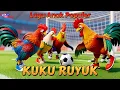 Lagu LAGU ANAK 🇮🇩 KUKURUYUK | LAGU AYAM JAGO | AYAM BERKOKOK | LAGU ANAK TREND | LAGU ANAK INDONESIA
