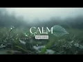 Relaxing Guitar for Stress Relief, work and study | REMEMBERED