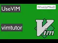 Use VIM vimtutor