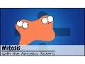 Mitosis: The Amazing Cell Process that Uses Division to Multiply! (Updated)