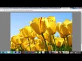 How To Make Image SlideShow Using Javascript Html And Css Tutorial