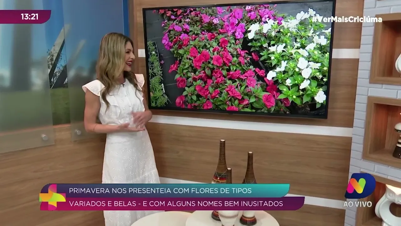 Conheça flores com nomes inusitados