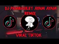 Download Lagu DJ PAMBASILET AYAM AYAM  REMIX FULL BASS TIKTOK TERBARU 2021
