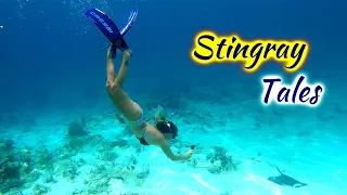 SDA170 Stingray Tales