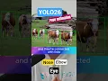 Pose Estimation Tracking with Ultralytics YOLO26