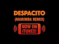 Download Lagu Marimba remix