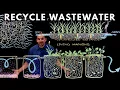 Download Lagu How to Recycle Waste Water Using Plants