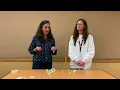 Monday STEAM with the Library Spaghetti Marshmallow Tower Challenge