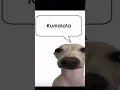 Download Lagu Kumalla kumala savesta funny meme