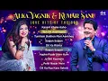 Lagu Alka Yagnik \u0026 Kumar Sanu ❤️ 90s Romantic Jukebox 🎧| Hindi love Songs | Hindi Sad Love Songs