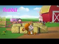 Lagu Kids Videos l Monkey See Monkey Do l Rabbit l Cartoon l