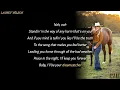 Lainey Wilson - Dreamcatcher (Lyrics)