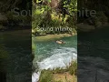 Download Lagu Swimming in a Forest River 🌿 | Relaxing Nature Sounds + Piano Music #shorts #nature