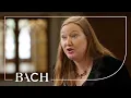 Download Lagu Bach - Cantate Ich geh und suche mit Verlangen BWV 49 - Sato | Nederlandse Bachvereniging