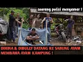 Download Lagu DIH1N4 \u0026 D1BULLY S4BUNG AYAM MEMBAWA AYAM POTONG, PADAHAL ROMBONGAN INTEL YANG AKAN MENANGKAPNYA‼️