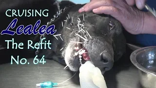 Cruising Lealea Refit No.64: Gone to the Dogs