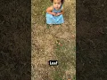 Download Lagu The world through the eyes of a child! 💜 Beautiful #colors #fallleaves