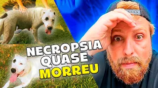 Necropsia quase morreu 😢😢