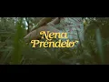 M2H x NANPA BÁSICO - NENA PRÉNDELO