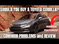 Should you buy a Toyota Corolla Review and Common Problems