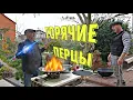 Lagu Можно и на Свадьбу Подавать! Фаршированный Перец / Как Приготовить Вкусно