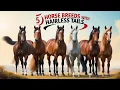 5 Horse Breeds With Hairless Tails