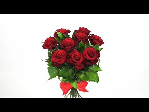 Download MP3 Buquê de Rosas Vermelhas - Arte Flores Online