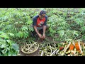 Download Lagu Tumis jenggung daun kencur jeroan ayam bumbu lengkuas muda es sirsak untuk buka puasa h 1