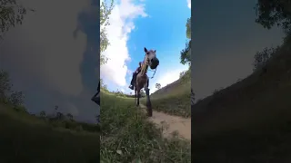 Horseback Riding Dominican Republic #horse #horses #horseriding