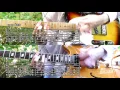 Main Offender - The Hives ( Guitar Tab Tutorial & Cover )