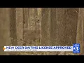 TN Fish Wildlife Commission approves new deer hunting regulations