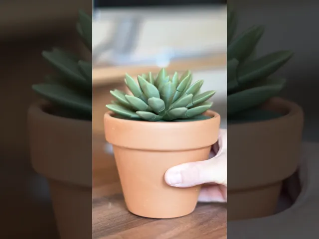 Push Pin Succulent video thumbnail