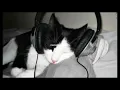 Download Lagu moment - lil death (sped up)