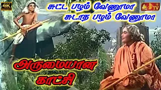 sutta pazham sudatha pazham super scene jjtv pollachi
