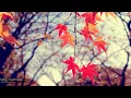Soeloe - Good Feelings
