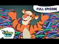 Lagu Pooh Oughta Be In Pictures | The New Adventures of Winnie the Pooh S1 E1 |  Full Episode
