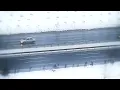 Her Yerde Kar Var-Nilüfer (Penceremden)