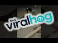 Gassy Horse Gets a Massage ViralHog