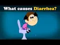 Lagu What causes Diarrhea? + more videos | #aumsum #kids #science #education #children